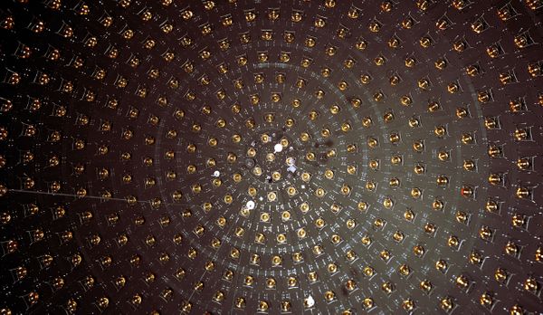 Did we just discover the 'sterile neutrino'?